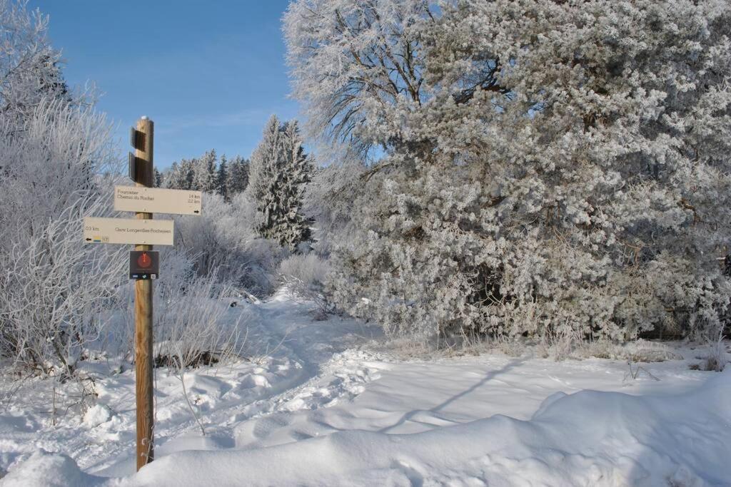 Gite Du Fourperet-Parc Naturel Du Haut-Jura Longevilles-Mont-dʼOr 외부 사진