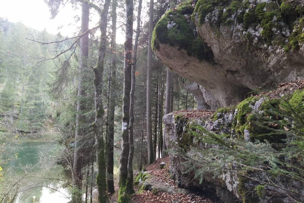 Gite Du Fourperet-Parc Naturel Du Haut-Jura Longevilles-Mont-dʼOr 외부 사진